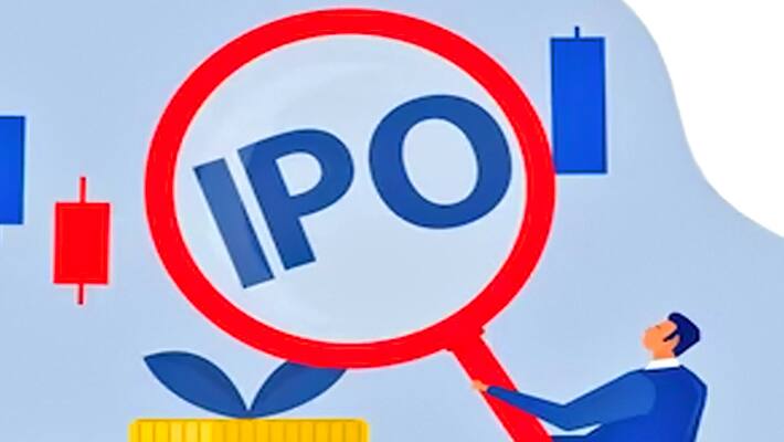 Top IPOs in 2023: Do you know which IPO opened the doors of fortune for investors this year?-sak
