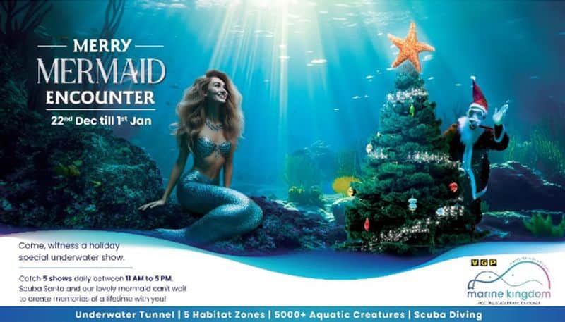 Merry Mermaid Encounter Show Splashes into VGP Marine Kingdom This Holiday Season  