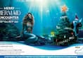 Merry Mermaid Encounter Show Splashes into VGP Marine Kingdom This Holiday Season  