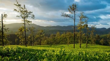 Ooty in Spring: Discover the charms of this season amidst the lush green 'Queen of Hills' ATG