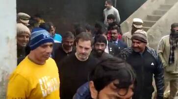 Rahul Gandhi Meet Bajrang Punia: ਕੁਸ਼ਤੀ ਦੇ ਅਖਾੜੇ 'ਚ ਨਿੱਤਰੇ ਰਾਹੁਲ ਗਾਂਧੀ, ਪੂਨੀਆ ਸਮੇਤ ਹੋਰ ਪਹਿਲਵਾਨਾਂ ਨਾਲ ਕੀਤੀ ਮੁਲਾਕਾਤ