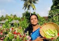 kerala woman rema devi earning 55000 rs monthly with terrace garden zkamn