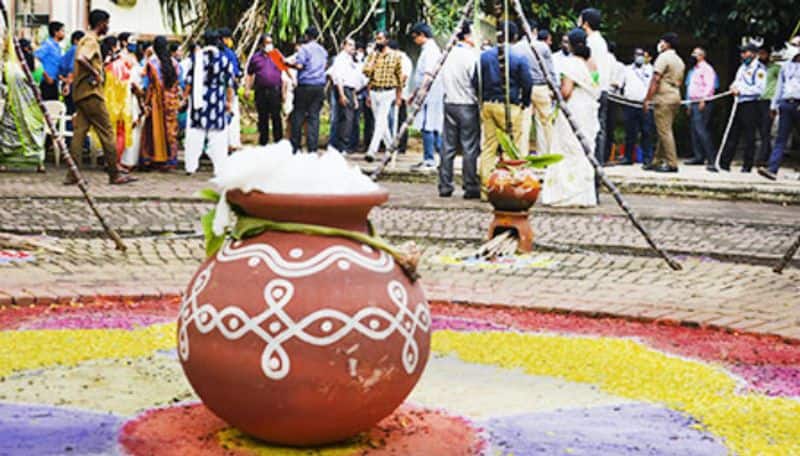 Pongal 2024: Know date, time, significance and more of this harvest festival RBA