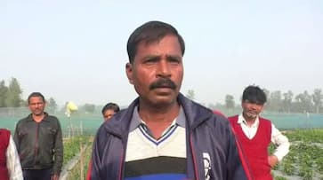 Sweetness of Success Cultivating Strawberries in Uttar Pradesh and Reaping Profits strawberry-farmer-satyendra-verma iwh