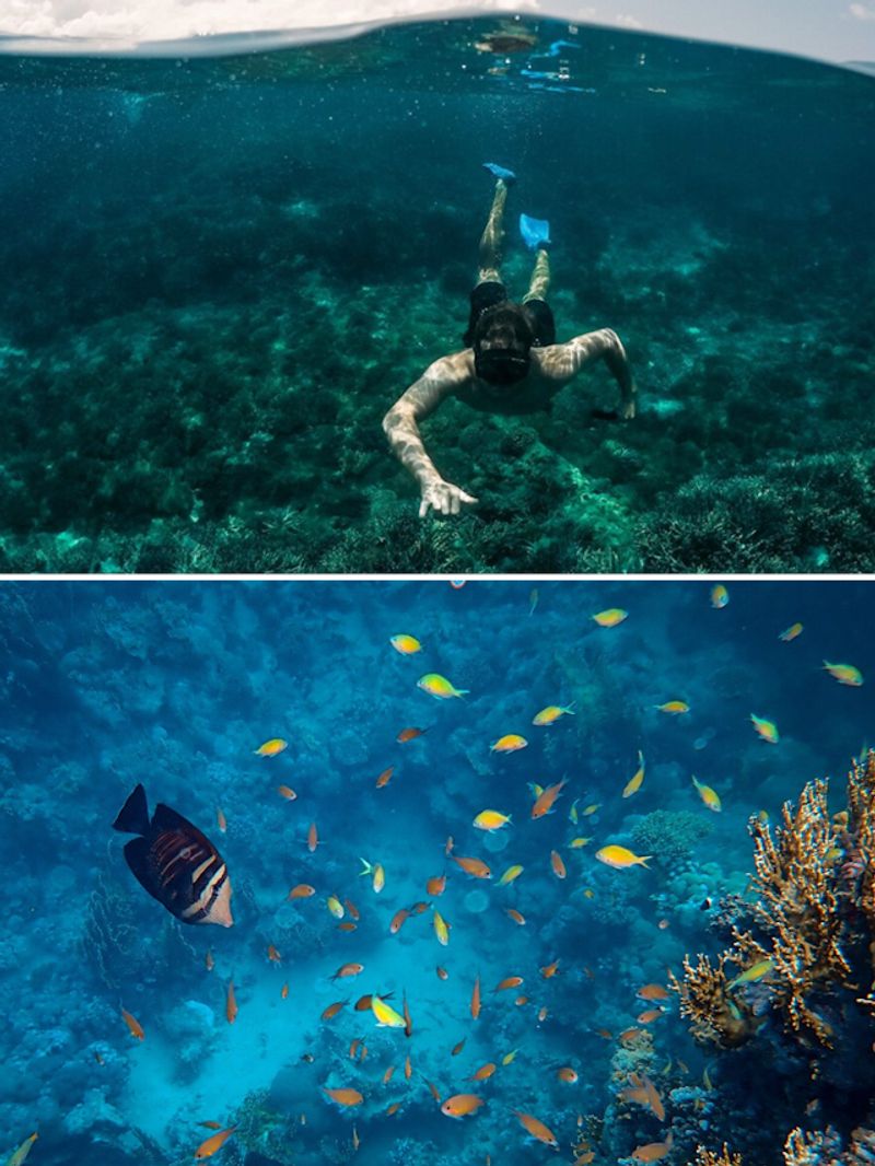 6 best places to do scuba diving in India