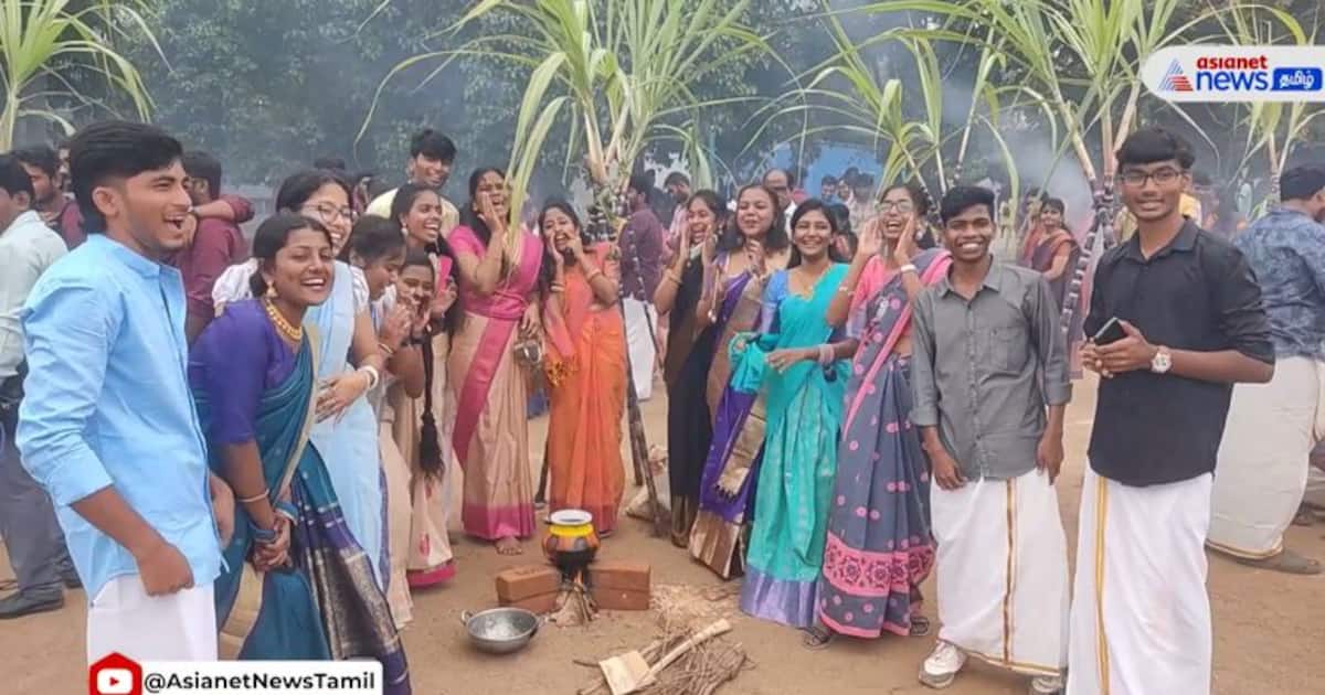 Pongal 2024 Know date, time, significance and more of this harvest