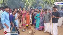 private college students celebrate pongal festival in traditional method in thiruvarur vel