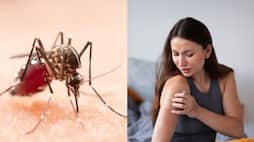 6 Reasons why mosquitoes bite some people more than others skr