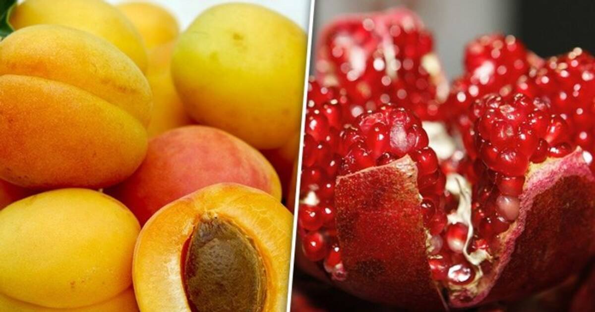 Pomegranates to Apricots 7 ironrich fruits to fight Anaemia naturally