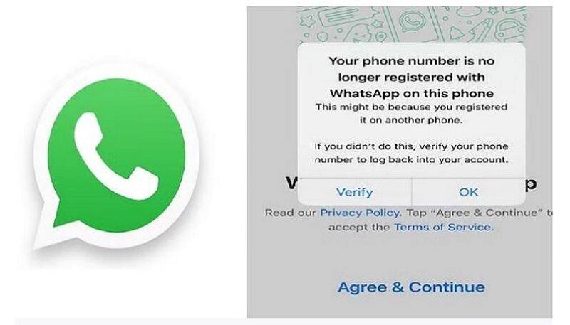 Big bug in WhatsApp, accounts are getting logged out automatically, turn on this feature immediately-sak