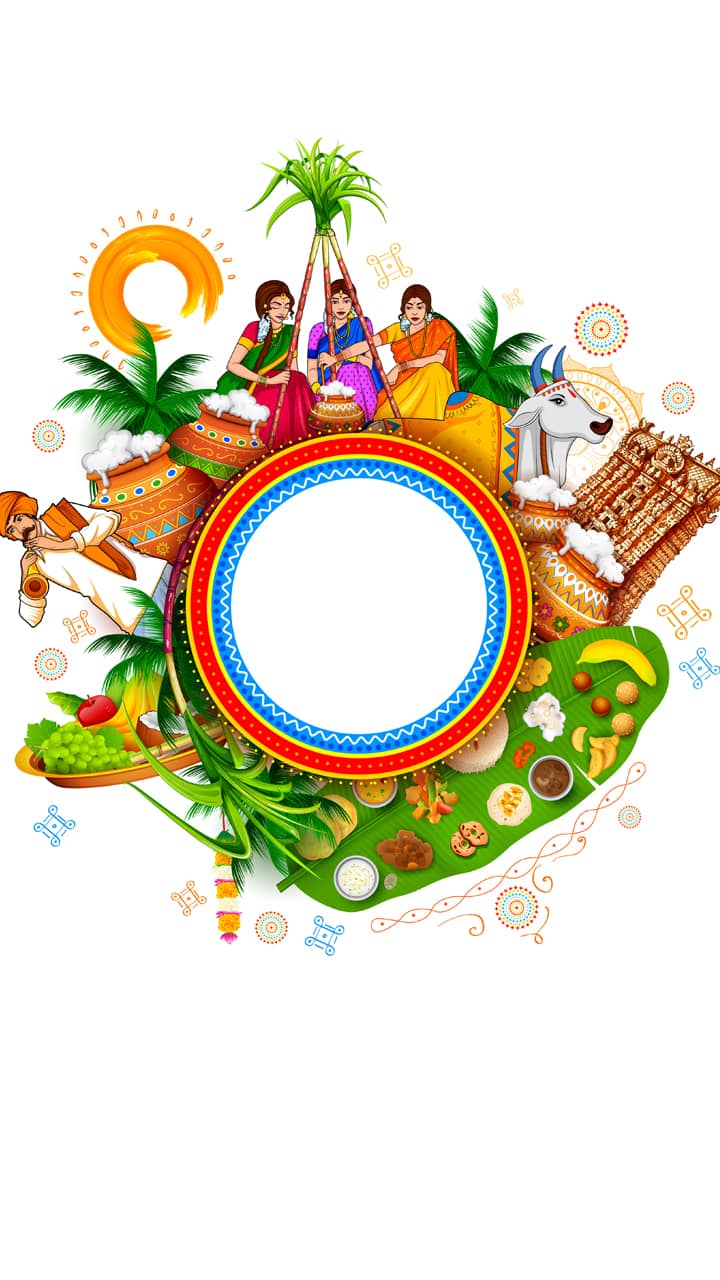 Happy Pongal 2024: Wishes, Messages, Greetings, Facebook/Whatsapp status, quotes for loved ones ATG