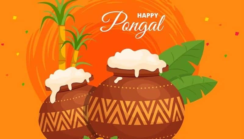 Pongal Festival is close to our lives: Annamalai Greetings sgb