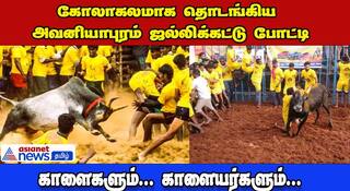 madurai Famous jallikattu Sport Kick-Starts In Avaniyapuram dee