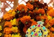 ayodhya ram mandir ram lalla symbolic idol was on tour in temple see photos kxa 