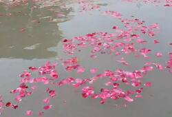 pm modi ram lala pran pratishtha ayodhya ram mandir ram mandir inauguration flower shower on saryu river ram mandir pran pratishtha ram lala pran pratishtha zysa