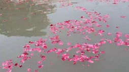 pm modi ram lala pran pratishtha ayodhya ram mandir ram mandir inauguration flower shower on saryu river ram mandir pran pratishtha ram lala pran pratishtha zysa