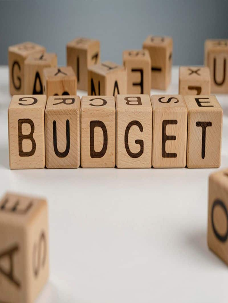 Budget 2024: Check Out Key Difference Between Interim & Regular Budget