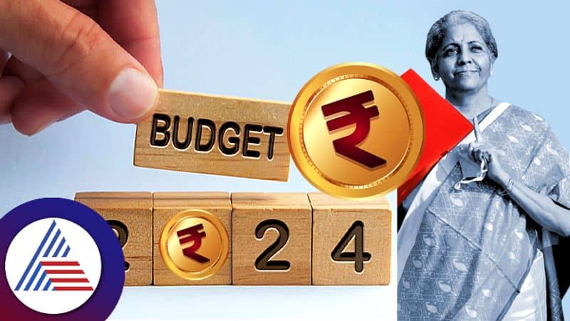 What Can Middle-Class Taxpayers Expect From Budget? Experts Say This sgb