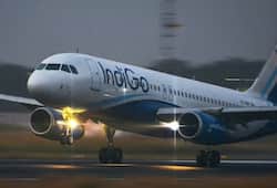 "Unbelievable efficiency": X user praises Indigo's flights, sparks internet discussion, Indigo reactsrtm 