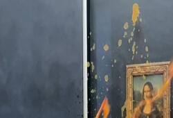 Protesters throw soup at Leonardo da Vinci painting zkamn