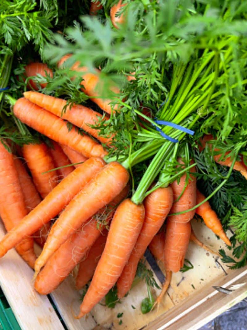 vitamin a rich foods for eyes health