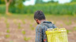 A Farmer in Rajasthan Who Makes Crores from Aloe Vera Cultivation harish farmer rajasthan delhi-border-farmers-protest iwh