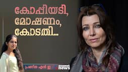 analysis on Elif Shafak and  plagiarism charges 