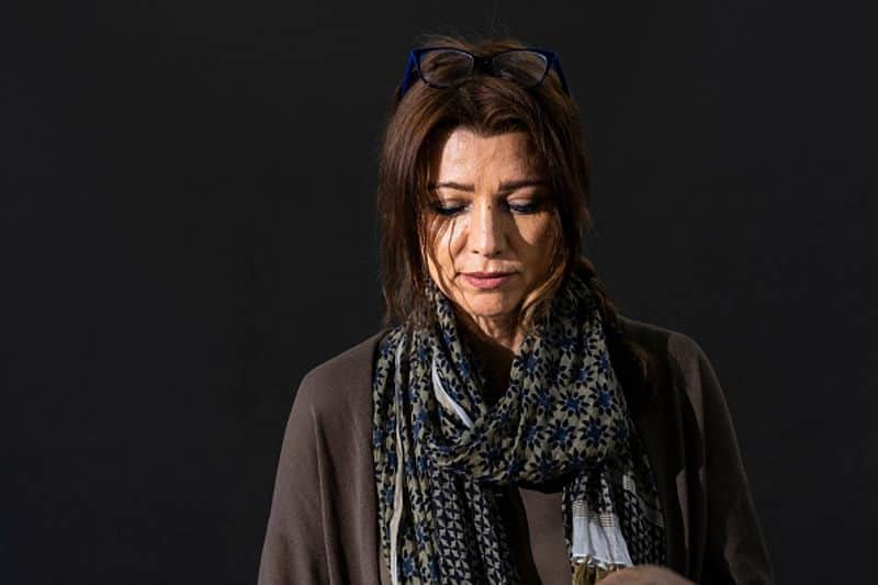 analysis on Elif Shafak and  plagiarism charges 