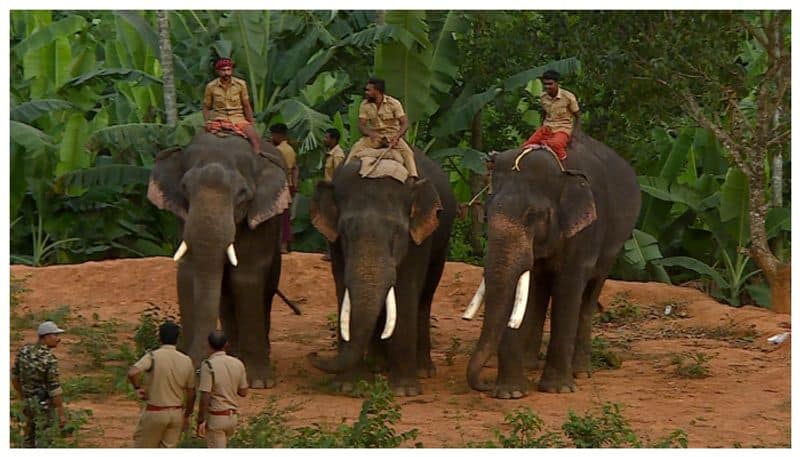 fact finding of the death of the thaneer komban the wild elephant by Suhail Ahmed bkg
