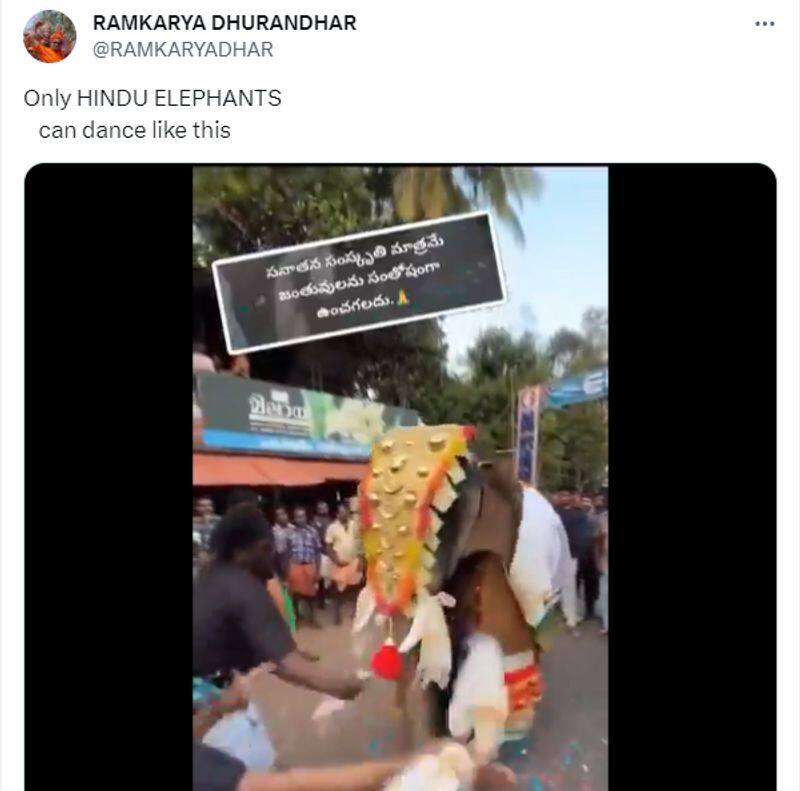 Kerala Elephant dance video goes viral but reality is different fact check 