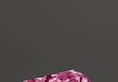 What Makes Pink Diamonds So Expensive most-expensive-diamond-in-the-world-pink-diamond-cost-per-carat iwh