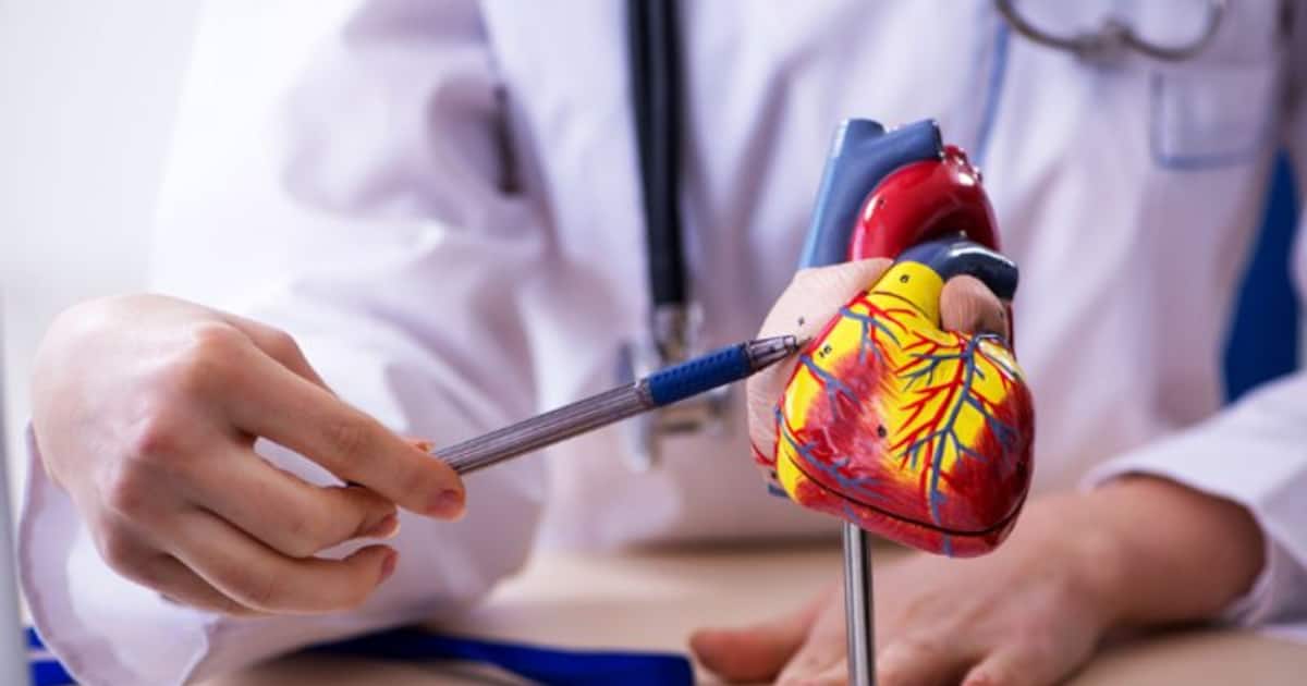 HeartHealthy 101 10 Simple steps to reduce heart valve disease risks