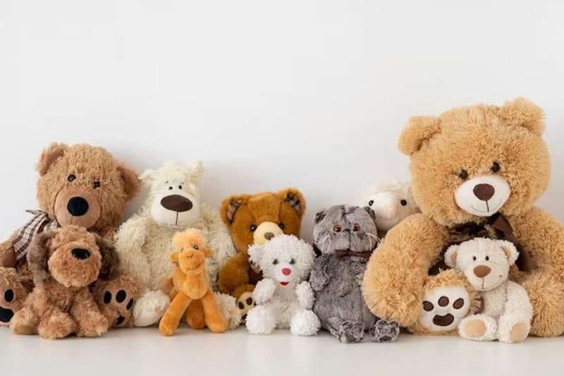 Teddy Day 2024: Here's why many women like being gifted teddy