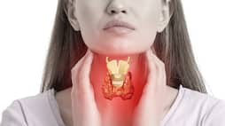 Health tips Best Fruits That Helps in Managing Thyroid Levels ram