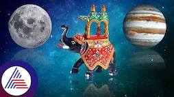 Lucky Zodiac Sign For Next Week 20 To 26 May 2024 Shukra Gochar Form Malvya Rajyoga Aries Cancer And Other 5 Zodiac Get Success suh