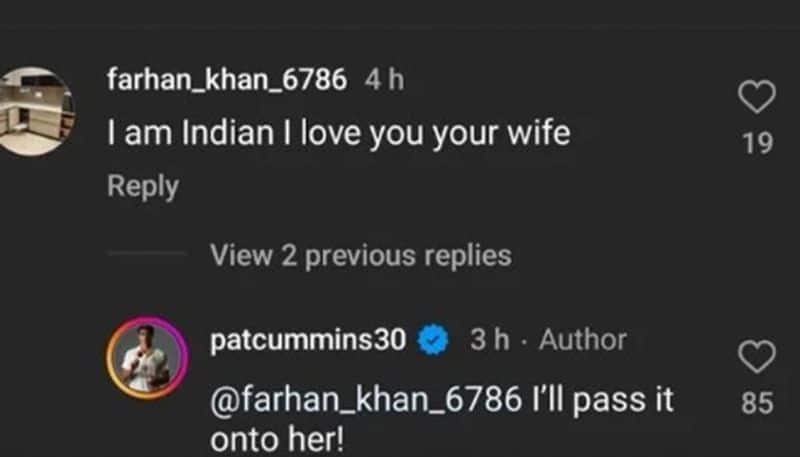 cricket Pat Cummins' epic response to Indian fan's 'I love your wife' comment on Valentine's Day Insta post wins hearts osf