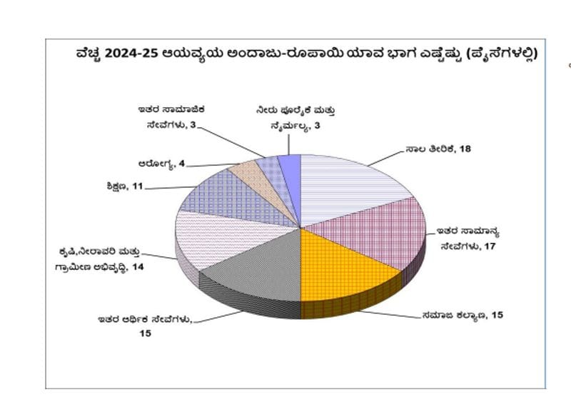 Karnataka Budget 2024 govt department wise grants Education and women sectors get large money sat