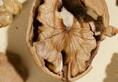 How to use walnut shells to promote hair growth walnut-peel-to-get-black-hair iwh