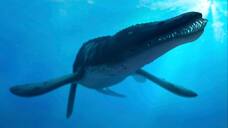 Museum seeks for help excavating sea monster pliosaur from Dorset  cliff face etj