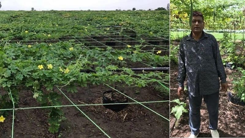 success story of gujarat farmer ashwin nariya natural farming zrua