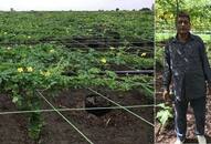 gujarat-farmer-ashwin-nariya An Ingenious Farming Method Developed by a Organic Farmer that Saves Cost while Increasing Production iwh