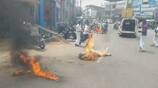 In Thanjavur the viduthalai Tamil puligal burnt effigies of Kamal Haasan and Sivakarthikeyan in protest vel
