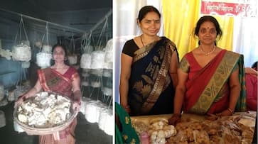 success story bihar woman mushroom farming in home earn 3 lakh rupees gopalganj news zrua