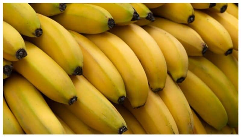 Indian scientists used banana fibers to create a natural wound dressing nti