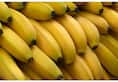 Indian scientists used banana fibers to create a natural wound dressing nti