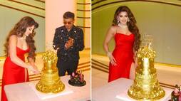 Urvashi Rautela celebrates birthday with 'REAL' gold cake worth Rs 3 crore gifted by Yo Yo Honey Singh- see pictures RBA