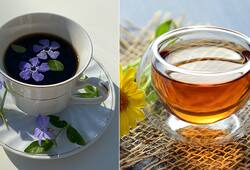 The benefits of Japanese Hojicha Green Tea work wonders for overall health iwh