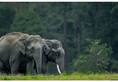 Jamnagar Top 5 wildlife Sanctuaries & nature locations you must visit nti