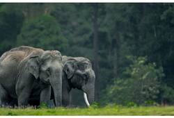 Jamnagar Top 5 wildlife Sanctuaries & nature locations you must visit nti