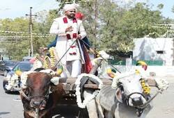 Rajasthan bhilwara groom wedding procession took place on bullock cart zkamn